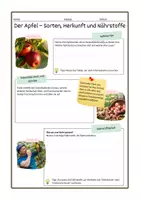 Vorschau - Arbeitsblätter - Lebensmittelgruppe Obst und Gemüse - Der Apfel - Deckblatt
