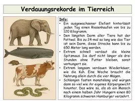Vorschau - Stundenentwürfe - Stoffwechsel & Nährstoffe: Komplettes Unterrichtsmaterial Biologie Sekundarstufe I und II – sofort einsetzbar! - Seite 2