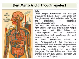 Vorschau - Stundenentwürfe - Stoffwechsel & Nährstoffe: Komplettes Unterrichtsmaterial Biologie Sekundarstufe I und II – sofort einsetzbar! - Seite 3