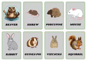 Aperçu - Matériel pour travaux manuels / dessin - animal flashcards animal Farm Zoo animal Vocabulary - Page 3