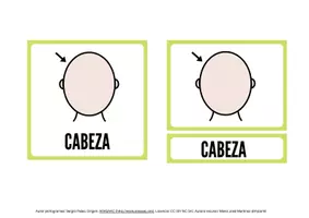 Vista previa - Refuerzo / NEE / Materiales de apoyo - Tarjetas 3 partes "El cuerpo" pictogramas - página 3
