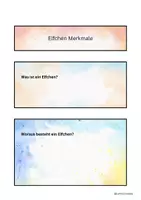 Vorschau - Stundenentwürfe - Elfchen zu Halloween - komplette Stunde - Seite 1