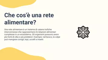 anteprima - Presentazioni / Lavagne - Confrontare catena trofica e rete alimentare, evidenziando somiglianze e differenze - Pagina 3