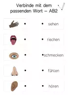Vorschau - Arbeitsblätter - 4 Arbeitsblätter Sinne - Seite 3