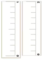 Vorschau - Präsentationen/Tafelbilder - Zahlenstrahl bis 100 (Tafelmaterial) - Seite 1