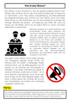 Vorschau - Arbeitsblätter - Was ist eine Diktatur? Staatsform erklärt - Seite 1
