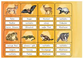 Vorschau - Spiele - Waldtiere: Sag es nicht! (Wortschatzspiel) - Sachunterricht / Deutsch - Kl. 3/4 - Seite 3