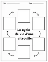 Aperçu - Feuilles d'exercices - Le cycle de vie d'une citrouille Halloween - Page 1