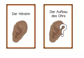 Vorschau - Stationenlernen - 16 Stationenkarten Hörsinn - Seite 3