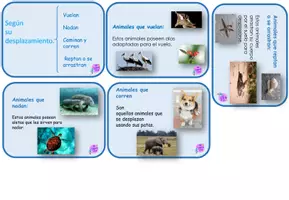 Vista previa - Hojas de trabajo - CLASIFICACIÓN ANIMALES SEGÚN SU DESPLAZAMIENTO LÁPIZ LILA - página 3