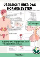 Vorschau - Arbeitsblätter - Übersicht Hormonsystem Hormone Hormondrüsen Steuerung - Deckblatt