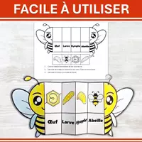 Aperçu - Feuilles d'exercices - Cycle de Vie de l’Abeille BUNDLE FR & EN - Page 2