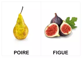 Aperçu - Préparation de séance / Séance complète - Imagier, cartes de nomenclature (vocabulaire) : légumes et fruits d'automne (inspiration Montessori) - Page de couverture