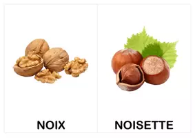 Aperçu - Préparation de séance / Séance complète - Imagier, cartes de nomenclature (vocabulaire) : légumes et fruits d'automne (inspiration Montessori) - Page 2