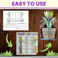 Aperçu - Feuilles d'exercices - life cycle of a Plant foldable kids craft science activity - Page 1