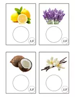 Voorbeeld - thema zintuigen - geurflesjes - Pagina 1