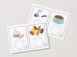 Voorbeeld - thema zintuigen - geurflesjes - Voorblad