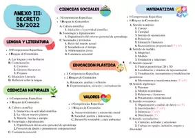 Vista previa - Tarjetas / Manipulativos - ESQUEMA DE CONTENIDOS POR ÁREAS - página 1