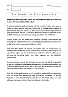 Vorschau - Arbeitsblätter - WEIHNACHTEN - Schnelllesen, Diktat, Lesetraining, Blitzlesen - Seite 3