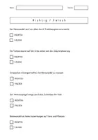Vorschau - Arbeitsblätter - DaZ/DaF - KLIMAWANDEL - Infotext mit Fragen, Vokabeln, Mehrzahl bilden - Seite 2