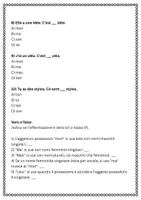 anteprima - Esercizi - Uso degli aggettivi possessivi in francese - Pagina 3