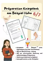 Vorschau - Arbeitsblätter - Biologie Präparation Kniegelenk am Beispiel vom Huhn - Deckblatt