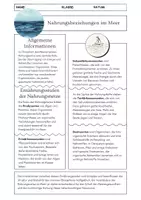 Vorschau - Arbeitsblätter - Nahrungsbeziehungen im Meer / Nahrungsnetz / Nahrungspyramide - Seite 1