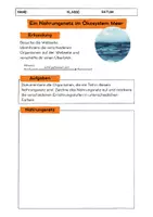 Vorschau - Arbeitsblätter - Nahrungsbeziehungen im Meer / Nahrungsnetz / Nahrungspyramide - Seite 2