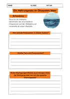 Vorschau - Arbeitsblätter - Nahrungsbeziehungen im Meer / Nahrungsnetz / Nahrungspyramide - Seite 3