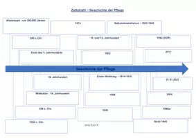 Vorschau - Arbeitsblätter - Geschichte der Pflege als Profession - Seite 3