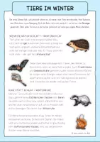Vorschau - Spiele - Tiere im Winter / Waldtiere - Wissenskartei, Sachtexte, Bildkarten, Fußspuren - Seite 2