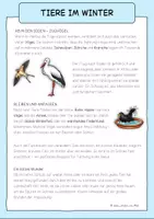 Vorschau - Spiele - Tiere im Winter / Waldtiere - Wissenskartei, Sachtexte, Bildkarten, Fußspuren - Seite 3