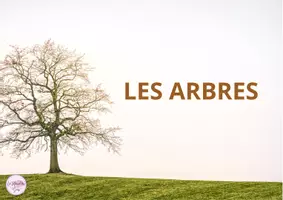 Aperçu - Préparation de séquence / Séquence complète - kamishibai les arbres - Page de couverture