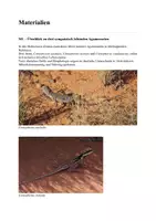 Vorschau - Klassenarbeiten - Klausur - Ökologie – Konkurrenzvermeidung bei Agamenarten in Australien - Seite 1