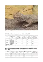Vorschau - Klassenarbeiten - Klausur - Ökologie – Konkurrenzvermeidung bei Agamenarten in Australien - Seite 2