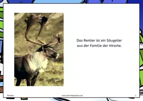 Vorschau - Arbeitsblätter - Rentiere - Seite 2
