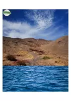 Vista previa - Juegos / Gamificación - Mar, aire y tierra SIMPLEMENTE - página 1