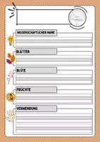 Vorschau - Arbeitsblätter - Herbarium - Seite 3