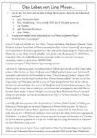 Vorschau - Arbeitsblätter - Lebenslauf Unterrichtsmaterial – Formale Fehler finden (PDF): Bewerbung, Berufsvorbereitung und Sprachförderung - Seite 3