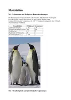 Vorschau - Klassenarbeiten - Klausur - Ökologie, Kaiserpinguine - Seite 2