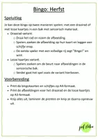 Voorbeeld - JufNika_Bingo herfst - Pagina 2
