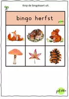 Voorbeeld - JufNika_Bingo herfst - Pagina 3