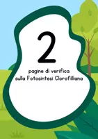anteprima - Esercizi - Verifica sulla Fotosintesi Clorofilliana - Pagina di copertina