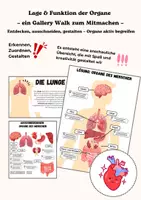 Vorschau - Mal- und Bastelvorlagen - Lage & Funktion der Organe – ein Gallery Walk zum Mitmachen - Deckblatt