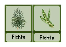 Vorschau - Arbeitsblätter - XXL Paket - Wald - Seite 3