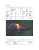 Vorschau - Arbeitsblätter - Klausur - Evolution, Parapatrische Artbildung Tropheus - Seite 1
