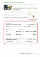 Vorschau - Unterrichtsreihen - Physik MS Mechanik 3 - Kräfte & Bewegungen (PDF, DOCX, Musterlösung) - Deckblatt