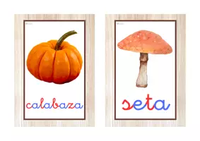 Vista previa - Tarjetas / Manipulativos - Vocabulario letra minúscula ligada (otoño) - página 1