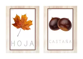 Vista previa - Tarjetas / Manipulativos - Vocabulario letra MAYÚSCULA punteada (otoño) - Portada