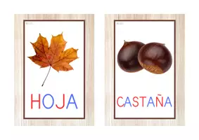 Vista previa - Tarjetas / Manipulativos - Vocabulario letra MAYÚSCULA (otoño) - Portada